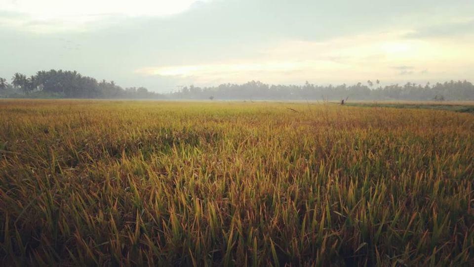 Seri Pengkalan Homestay บาชอค ภายนอก รูปภาพ