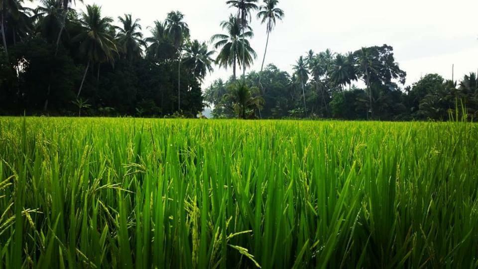Seri Pengkalan Homestay บาชอค ภายนอก รูปภาพ
