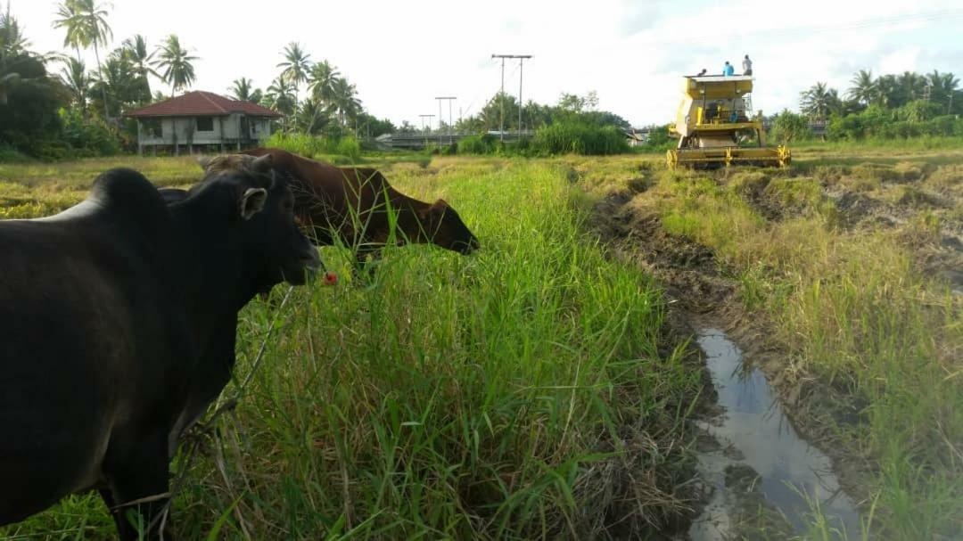 Seri Pengkalan Homestay บาชอค ภายนอก รูปภาพ